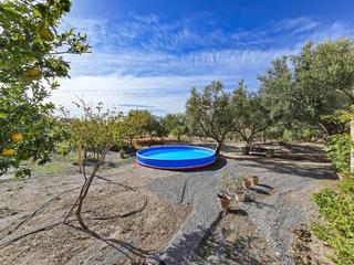 Masia a Vélez de Benaudalla. Cortijo para entrar a vivir en la gorgoracha Masia a Vélez de Benaudalla. Cortijo para entrar a vivir en la gorgoracha