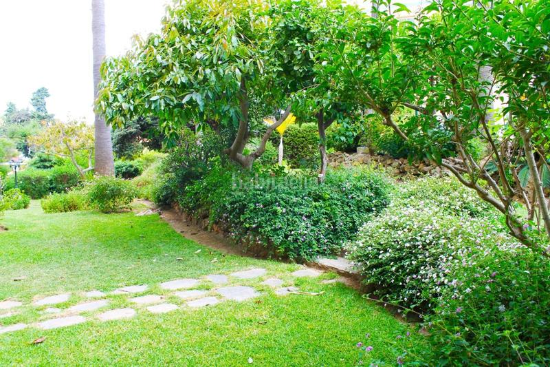 Foto a7cf1c86-91ae-47ae-b5b7-0f45883e31ab. Location studio avec piscine dans Solymar Benalmádena Foto a7cf1c86-91ae-47ae-b5b7-0f45883e31ab. Location studio avec piscine dans Solymar Benalmádena