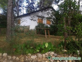Torre en Av. maristany, 143. Parcela doble, casa a 4 vientos Torre en Av. maristany, 143. Parcela doble, casa a 4 vientos