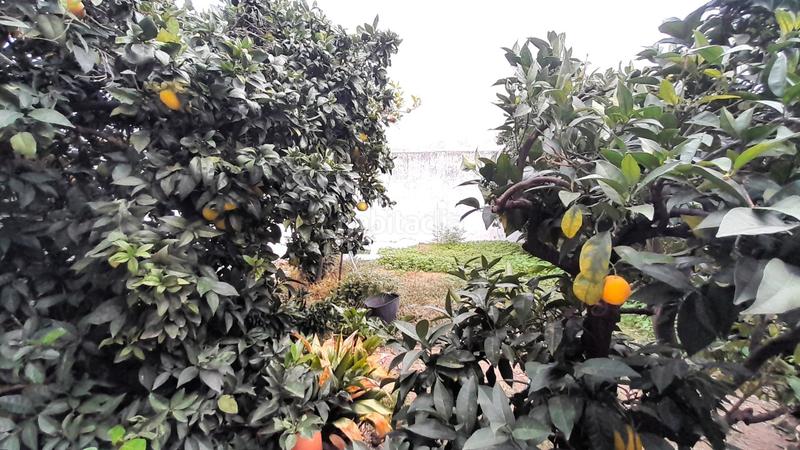 Foto 31a74dc5-f87e-4aea-ab3a-557a8eb1794e. Maison dans La Laguna Chipiona Foto 31a74dc5-f87e-4aea-ab3a-557a8eb1794e. Maison dans La Laguna Chipiona