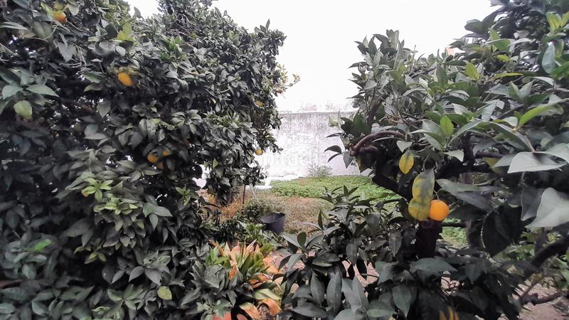 Foto b61e4e66-9f3d-439e-9edc-9567ea8ec139. Maison dans La Laguna Chipiona Foto b61e4e66-9f3d-439e-9edc-9567ea8ec139. Maison dans La Laguna Chipiona