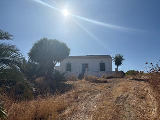 Maison à Bollullos Par del Condado. Finca la huerta Maison à Bollullos Par del Condado. Finca la huerta