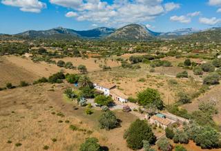 Mas à Pollença Poble. Inversión con potencial! finca rústica con licencia vacacional e Mas à Pollença Poble. Inversión con potencial! finca rústica con licencia vacacional e