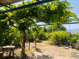 Terreny residencial a La sierra. Bellisima finca con frutales alhaurin el grande. malaga Terreny residencial a La sierra. Bellisima finca con frutales alhaurin el grande. malaga