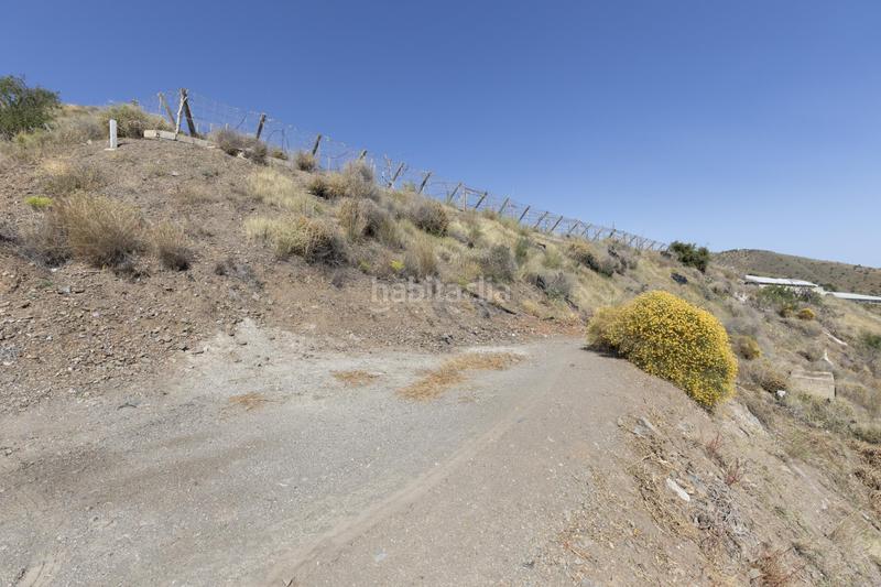 Foto 07ee7bdb-b965-4856-8bdc-c080d674e7a8. Fondo rustico in Albuñol Foto 07ee7bdb-b965-4856-8bdc-c080d674e7a8. Fondo rustico in Albuñol