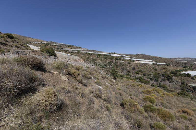 Foto 556a8b59-2f4a-4843-b87e-c9bd50cc0d66. Fondo rustico in Albuñol Foto 556a8b59-2f4a-4843-b87e-c9bd50cc0d66. Fondo rustico in Albuñol