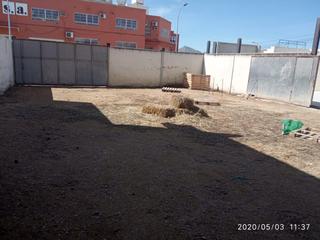 Lloguer Terreny residencial a Torredonjimeno. Solar en alquiler en torredonjimeno. Lloguer Terreny residencial a Torredonjimeno. Solar en alquiler en torredonjimeno.