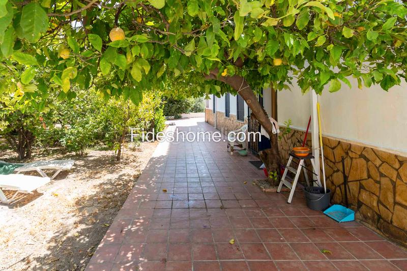 Foto 1b05749c-ce53-432e-97c3-8a54b4da2c08. Casa a calle moraleda 17 a Pinar (El) Foto 1b05749c-ce53-432e-97c3-8a54b4da2c08. Casa a calle moraleda 17 a Pinar (El)