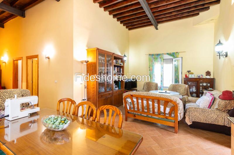 Foto 39cec6fe-a8c4-467b-a31a-ccc926cf9905. Casa a calle moraleda 17 a Pinar (El) Foto 39cec6fe-a8c4-467b-a31a-ccc926cf9905. Casa a calle moraleda 17 a Pinar (El)