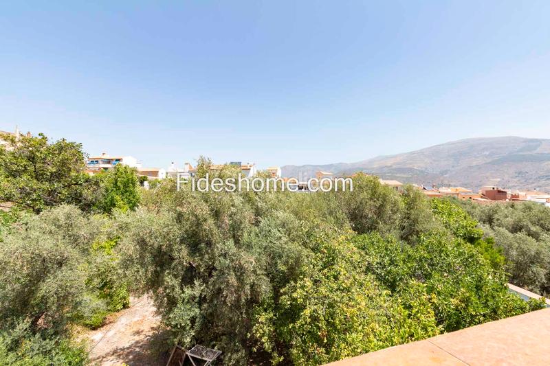 Foto 513bcb68-4fb1-4c38-bdb5-2dfe092b73c4. Casa a calle moraleda 17 a Pinar (El) Foto 513bcb68-4fb1-4c38-bdb5-2dfe092b73c4. Casa a calle moraleda 17 a Pinar (El)