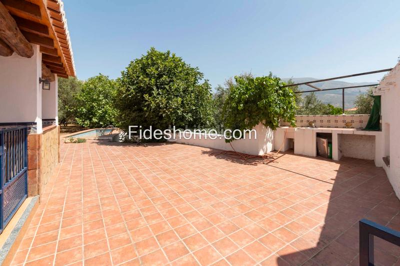 Foto b06f3445-dcbe-4ffc-8da2-959080b7f509. Casa a calle moraleda 17 a Pinar (El) Foto b06f3445-dcbe-4ffc-8da2-959080b7f509. Casa a calle moraleda 17 a Pinar (El)