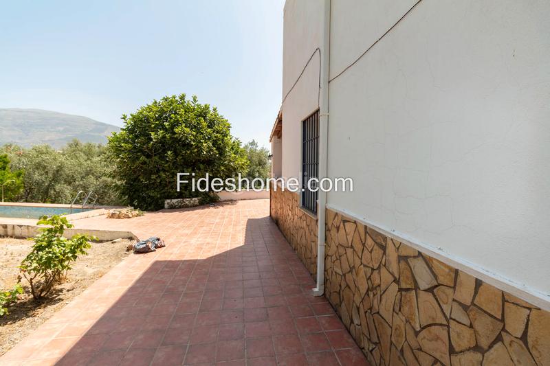 Foto bc713401-415a-40e5-92cb-e474609bfcd0. Casa a calle moraleda 17 a Pinar (El) Foto bc713401-415a-40e5-92cb-e474609bfcd0. Casa a calle moraleda 17 a Pinar (El)