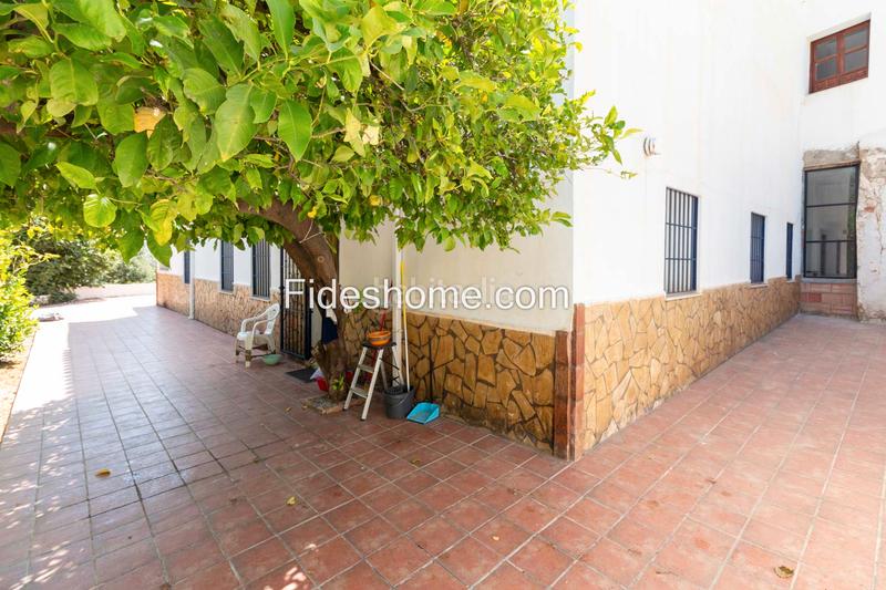 Foto c77d5fdc-0dac-40ab-87e1-0970a8b96383. Casa a calle moraleda 17 a Pinar (El) Foto c77d5fdc-0dac-40ab-87e1-0970a8b96383. Casa a calle moraleda 17 a Pinar (El)