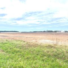 Landgut  Canada del amarguillo. Parcela junto a las dunas... Landgut  Canada del amarguillo. Parcela junto a las dunas...