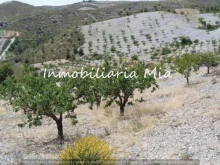 Maison à Puerto Lumbreras. Se vende finca de 23 hectáreas a 15 minutos de puerto lumbreras Maison à Puerto Lumbreras. Se vende finca de 23 hectáreas a 15 minutos de puerto lumbreras