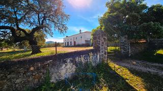 Masia a Zufre. Finca de dehesa 600 has con cortijo y mucha agua. Masia a Zufre. Finca de dehesa 600 has con cortijo y mucha agua.