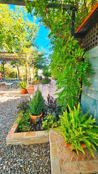 Foto 0d00321c-1131-4dd4-ac59-52c1c9a67430. Xalet a carretera berrocal 2 a Madroño (El) Foto 0d00321c-1131-4dd4-ac59-52c1c9a67430. Xalet a carretera berrocal 2 a Madroño (El)