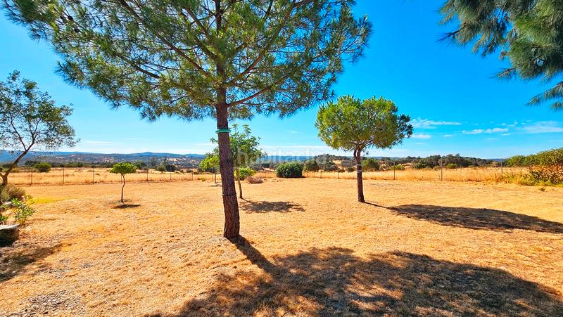 Foto 2d31347b-b506-4a0a-b5f3-223812440ec6. Xalet a carretera berrocal 2 a Madroño (El) Foto 2d31347b-b506-4a0a-b5f3-223812440ec6. Xalet a carretera berrocal 2 a Madroño (El)