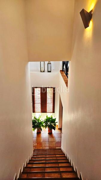 Foto 59c3ecef-6b76-4ce7-bbe7-44a6a6e8a893. Xalet a carretera berrocal 2 a Madroño (El) Foto 59c3ecef-6b76-4ce7-bbe7-44a6a6e8a893. Xalet a carretera berrocal 2 a Madroño (El)