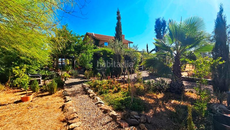 Foto 8105f4bd-6c7c-408c-8340-ae4b08e8313d. Xalet a carretera berrocal 2 a Madroño (El) Foto 8105f4bd-6c7c-408c-8340-ae4b08e8313d. Xalet a carretera berrocal 2 a Madroño (El)