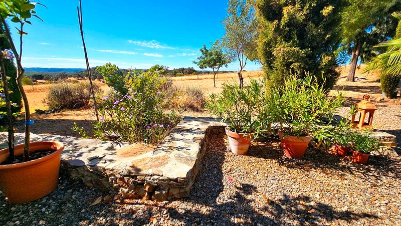 Foto c59ff8df-58b2-43f6-a21e-6aed9a6bfd74. Xalet a carretera berrocal 2 a Madroño (El) Foto c59ff8df-58b2-43f6-a21e-6aed9a6bfd74. Xalet a carretera berrocal 2 a Madroño (El)