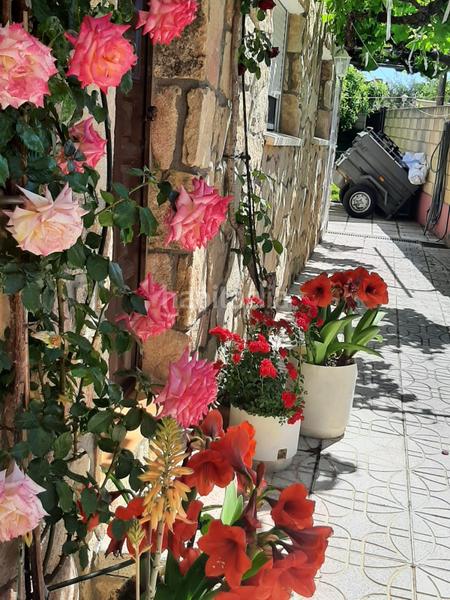 Foto 7584a51a-875e-427b-8eaa-e664d448f4fc. House with heating pool in Colmenar del Arroyo Foto 7584a51a-875e-427b-8eaa-e664d448f4fc. House with heating pool in Colmenar del Arroyo