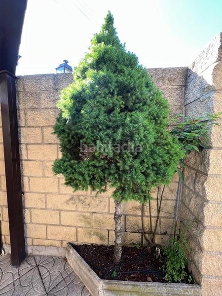 Foto 9fcb986a-a0a6-4ba1-86ef-079e8752fba3. House with heating pool in Colmenar del Arroyo Foto 9fcb986a-a0a6-4ba1-86ef-079e8752fba3. House with heating pool in Colmenar del Arroyo