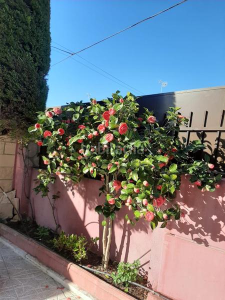 Foto f98809e1-5c77-4058-bc99-c245c98aa7c0. House with heating pool in Colmenar del Arroyo Foto f98809e1-5c77-4058-bc99-c245c98aa7c0. House with heating pool in Colmenar del Arroyo