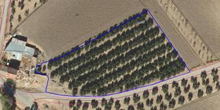 Fondo rustico  Rodriguez de la fuente. Polígono 3 parcela 124, benalua de las villas Fondo rustico  Rodriguez de la fuente. Polígono 3 parcela 124, benalua de las villas