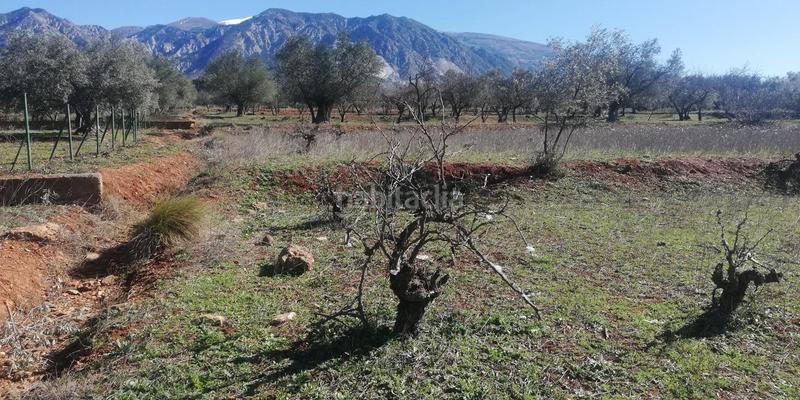 Foto 6d854331-97ee-41fd-81b9-a3c916a88519. Masia a marchena 1 a Dúrcal Foto 6d854331-97ee-41fd-81b9-a3c916a88519. Masia a marchena 1 a Dúrcal