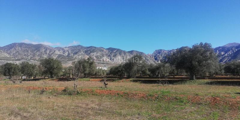 Foto e3e86769-8694-43ae-8916-8e8c210cc749. Masia a marchena 1 a Dúrcal Foto e3e86769-8694-43ae-8916-8e8c210cc749. Masia a marchena 1 a Dúrcal