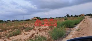 Rural plot in La Algoda - Matola - Llano de San José. Se vende parcela 8000 metros Rural plot in La Algoda - Matola - Llano de San José. Se vende parcela 8000 metros