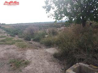 Masia a Algorós - El Derramador. Se vende finca rustica en carretera de dolores (elche) Masia a Algorós - El Derramador. Se vende finca rustica en carretera de dolores (elche)