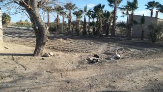 Residential Plot in San Fulgencio. Se vende parcela rustica en la zona de san fulgencio Residential Plot in San Fulgencio. Se vende parcela rustica en la zona de san fulgencio