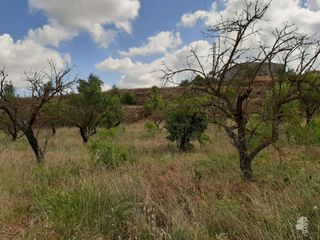 Terreno residencial en Albi (L´) Terreno residencial en Albi (L´)