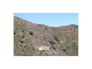 Terrain résidentiel à Borge (El). Se vende, finca en el borge, málaga, andalucía Terrain résidentiel à Borge (El). Se vende, finca en el borge, málaga, andalucía