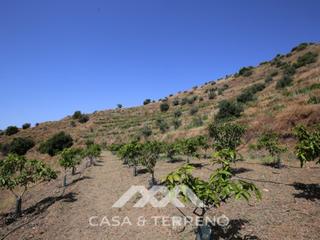 Casa N/a. Finca de cultivo, totalán, málaga, andalucía Casa N/a. Finca de cultivo, totalán, málaga, andalucía