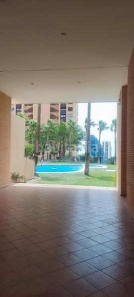 Foto ec042ddf-6ec0-45a5-869c-e066fe35e6f9. Appartement dans calle presidente adolfo suárez 12 dans Benidorm Foto ec042ddf-6ec0-45a5-869c-e066fe35e6f9. Appartement dans calle presidente adolfo suárez 12 dans Benidorm