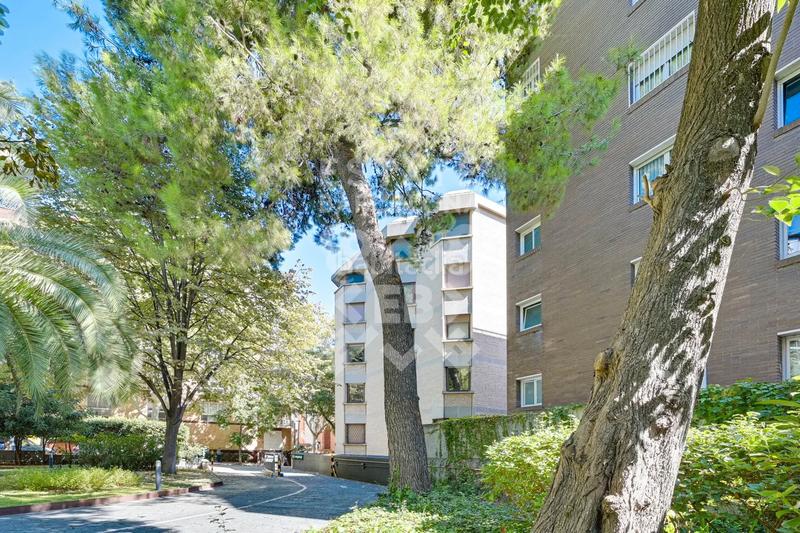 Foto 3b21f648-9580-4420-be3d-cb004b3ef301. Appartement avec chauffage parking dans Tres Torres Barcelona Foto 3b21f648-9580-4420-be3d-cb004b3ef301. Appartement avec chauffage parking dans Tres Torres Barcelona