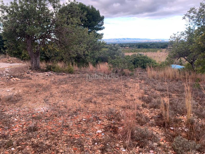 Foto 03326341-54cd-4d36-954e-b6d45592eb99. Fondo rustico in carrer de les llomes 7 in Los Pinares-La Masia Bétera Foto 03326341-54cd-4d36-954e-b6d45592eb99. Fondo rustico in carrer de les llomes 7 in Los Pinares-La Masia Bétera