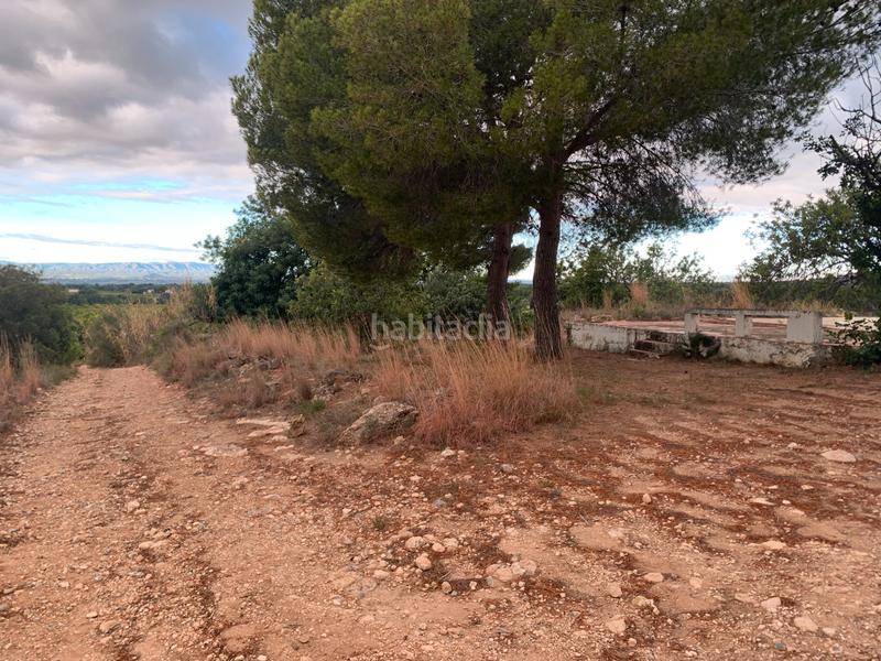 Foto b1b5d81d-247c-44dc-99e6-9b0cdde16c69. Fondo rustico in carrer de les llomes 7 in Los Pinares-La Masia Bétera Foto b1b5d81d-247c-44dc-99e6-9b0cdde16c69. Fondo rustico in carrer de les llomes 7 in Los Pinares-La Masia Bétera