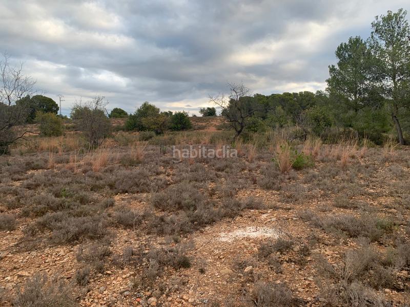 Foto bbd4faca-ecd9-46fa-9f5b-7f67d508126d. Fondo rustico in carrer de les llomes 7 in Los Pinares-La Masia Bétera Foto bbd4faca-ecd9-46fa-9f5b-7f67d508126d. Fondo rustico in carrer de les llomes 7 in Los Pinares-La Masia Bétera