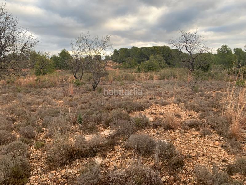 Foto e03c4839-e0aa-4fc4-80c7-0dde803e2aa3. Fondo rustico in carrer de les llomes 7 in Los Pinares-La Masia Bétera Foto e03c4839-e0aa-4fc4-80c7-0dde803e2aa3. Fondo rustico in carrer de les llomes 7 in Los Pinares-La Masia Bétera