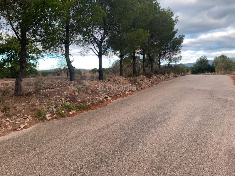 Foto f12de58d-f1cf-4479-b165-76c0e42147a5. Fondo rustico in carrer de les llomes 7 in Los Pinares-La Masia Bétera Foto f12de58d-f1cf-4479-b165-76c0e42147a5. Fondo rustico in carrer de les llomes 7 in Los Pinares-La Masia Bétera