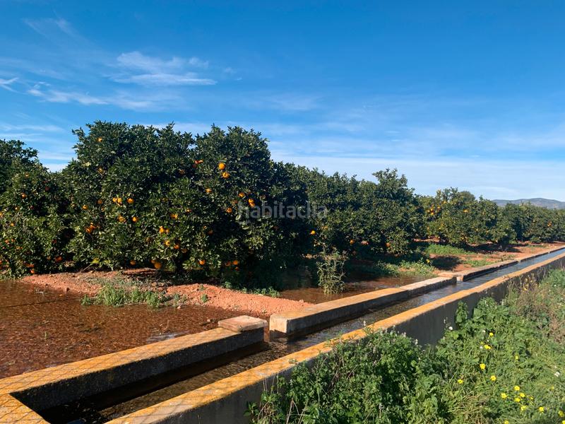 Foto 4f0c00a7-2d87-48c2-a057-82b0bada75c7. Finca rústica a urbanització pla de andanes 15 a Bétera Foto 4f0c00a7-2d87-48c2-a057-82b0bada75c7. Finca rústica a urbanització pla de andanes 15 a Bétera