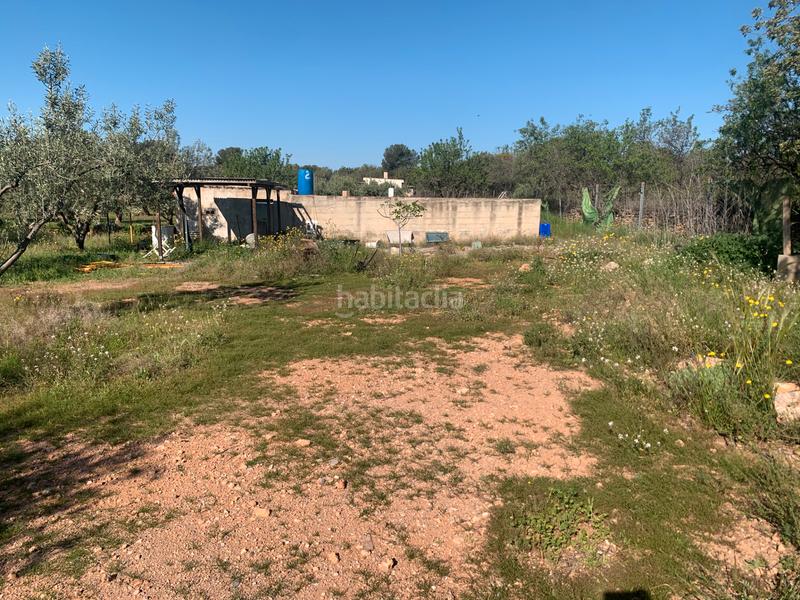 Foto dfc68ef1-635b-435e-b47b-c2667a05493f. Fondo rustico in carretera servicio canal s/n in Urbanizaciones Llíria Foto dfc68ef1-635b-435e-b47b-c2667a05493f. Fondo rustico in carretera servicio canal s/n in Urbanizaciones Llíria