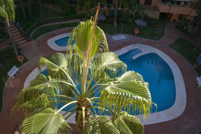 Foto f307d67a-2010-46aa-a6d5-d8ee318fdef7. Dúplex en avenida conde rudi 4 en La Carolina - Guadalpín Marbella Foto f307d67a-2010-46aa-a6d5-d8ee318fdef7. Dúplex en avenida conde rudi 4 en La Carolina - Guadalpín Marbella