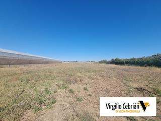 Terreny residencial a Avenida de Rota. Vc1079. finca rústica de 4.470m2 con agua de riego. a pocos metr Terreny residencial a Avenida de Rota. Vc1079. finca rústica de 4.470m2 con agua de riego. a pocos metr