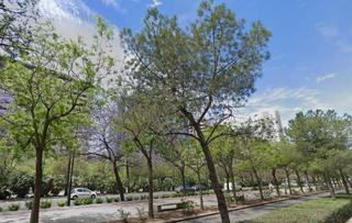 Lloguer Apartament a Barrio Benicalap. Apartamento en alquiler en valencia norte  benicalap Lloguer Apartament a Barrio Benicalap. Apartamento en alquiler en valencia norte  benicalap
