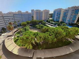 Rent Flat in Playa Muchavista. Piso en alquiler en alicante norte  playa de san juan Rent Flat in Playa Muchavista. Piso en alquiler en alicante norte  playa de san juan